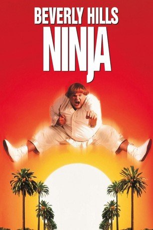 Beverly Hills Ninja - VJ Emmy